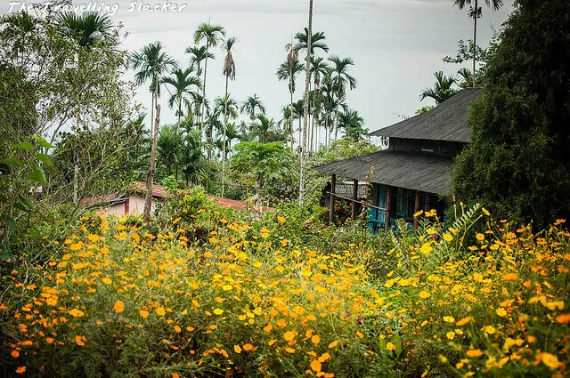 Indian village