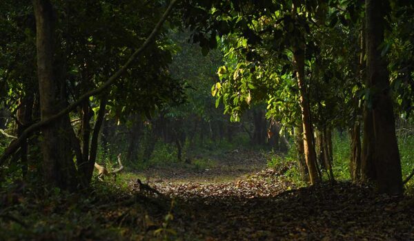 മതികെട്ടാൻ മലയും കെ സുധാകരനും മുത്തങ്ങ സമരവും