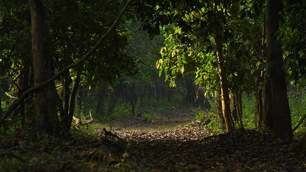 മതികെട്ടാൻ മലയും കെ സുധാകരനും മുത്തങ്ങ സമരവും