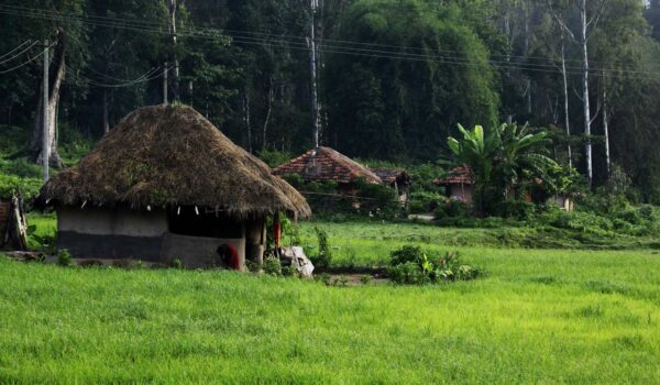 കേട്ടെഴുത്ത്: നാല്പത്താറുദിവസത്തെ മുത്തങ്ങയിലെ സമരജീവിതം.