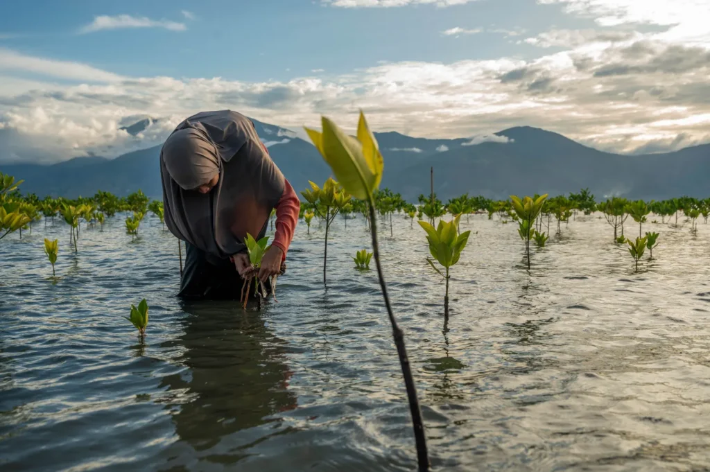Sustainable Economy