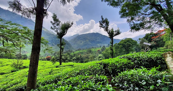 Mathikettaan Mala, Idukki
