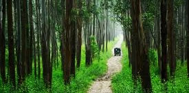 മുത്തങ്ങ: കപട പരിസ്ഥിതിവാദികളുടെ ഒറ്റുകൊടുക്കൽ