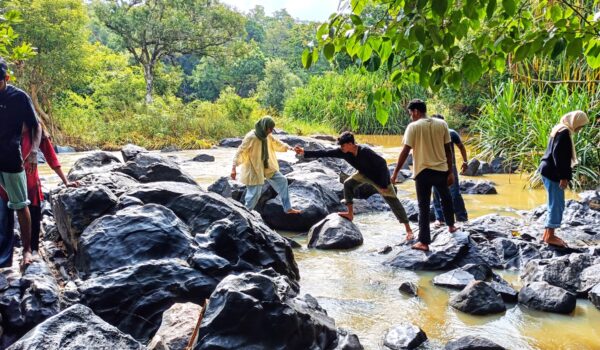 വേരുകളിലേക്കുള്ള വഴികൾ തേടി…