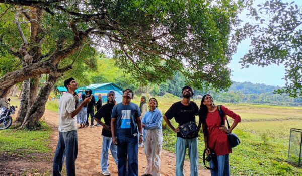 Roots and Routes: Reimagining Forests, Reclaiming Futures