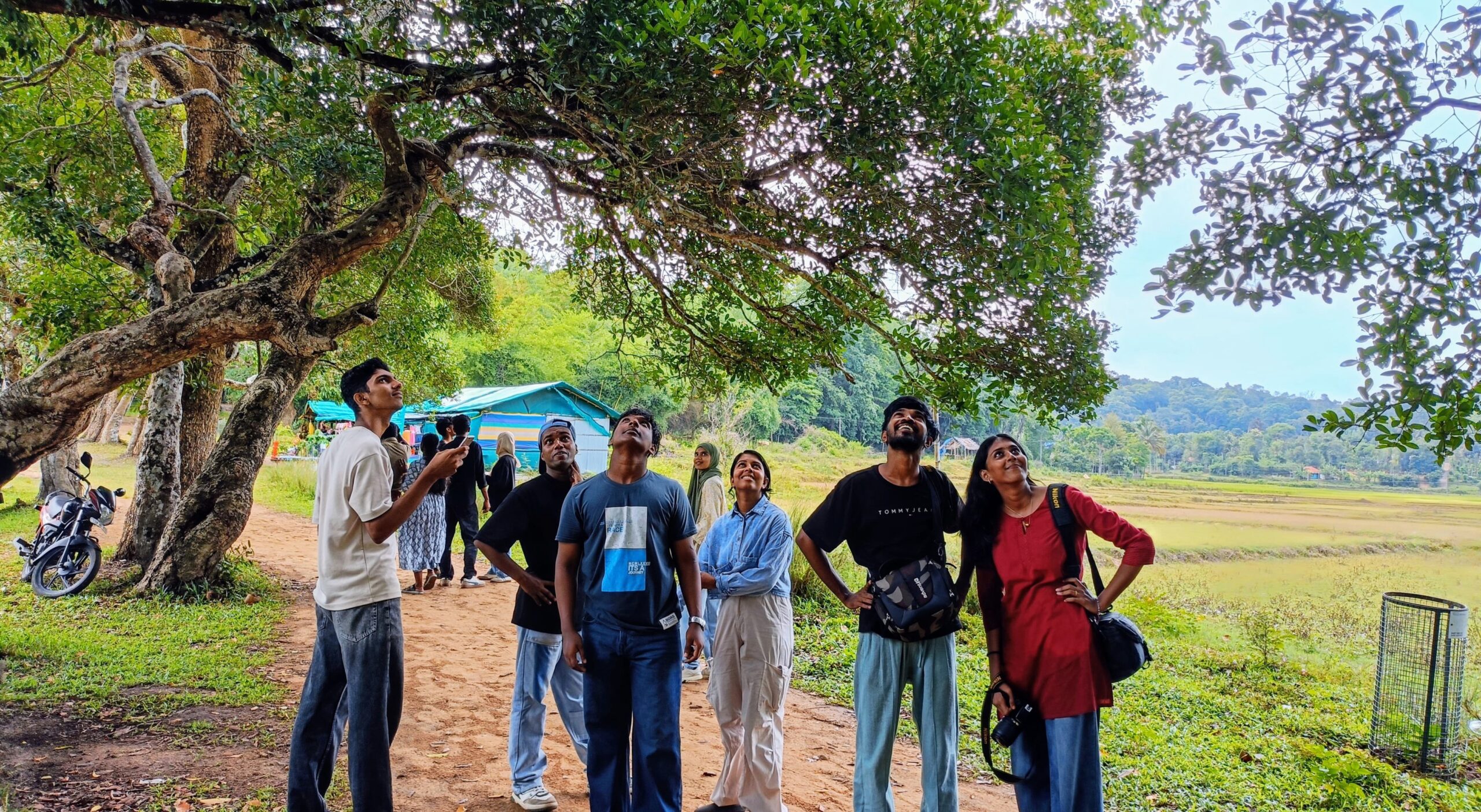 Roots and Routes: Reimagining Forests, Reclaiming Futures