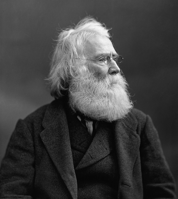  William Logan