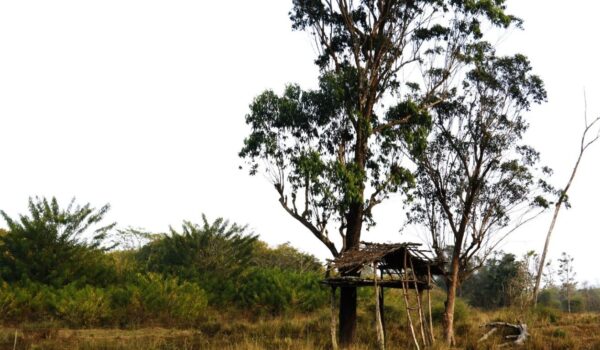 Denied Autonomy: Kerala’s Betrayal of Adivasi Rights