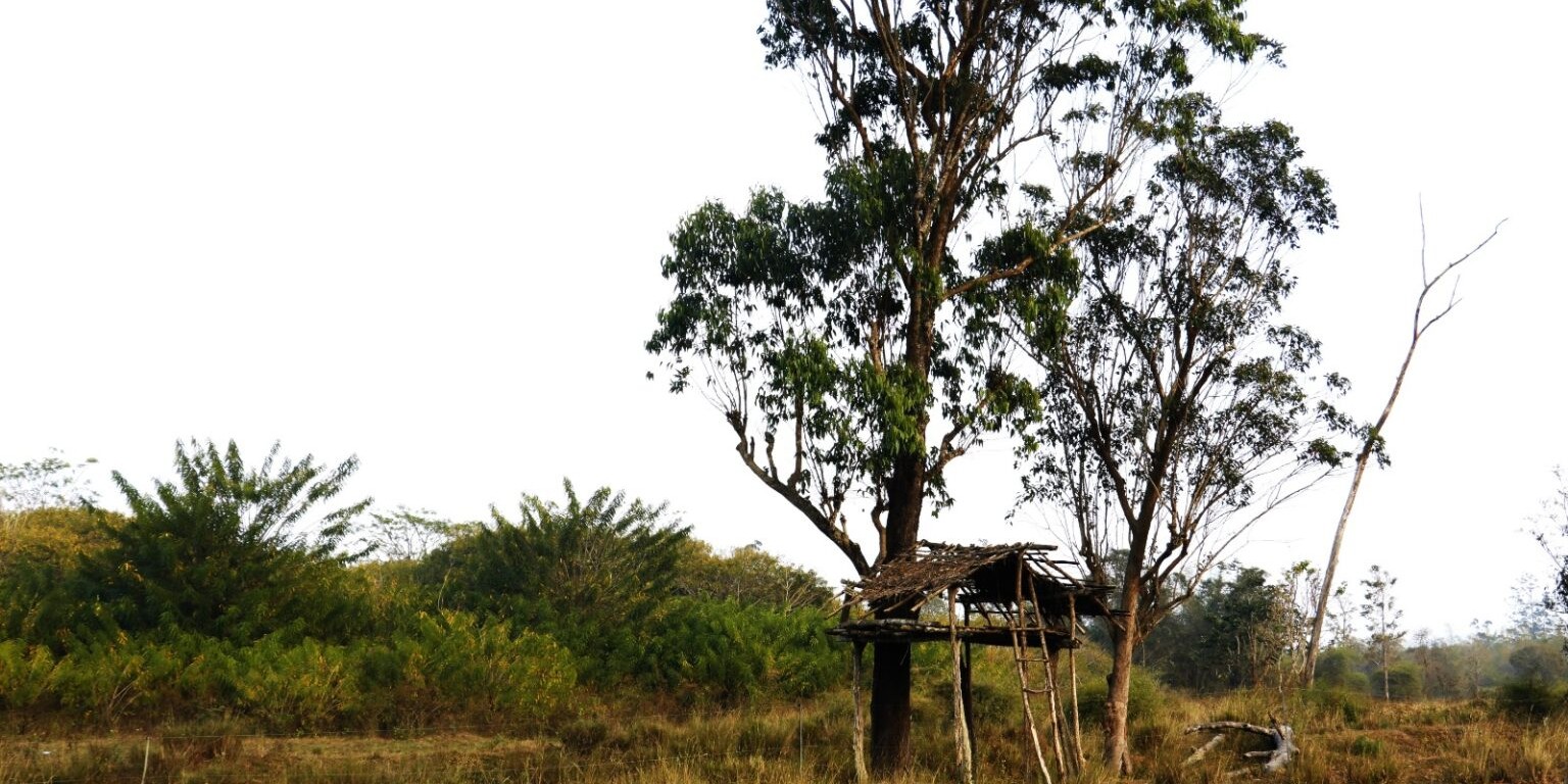 Denied Autonomy: Kerala’s Betrayal of Adivasi Rights