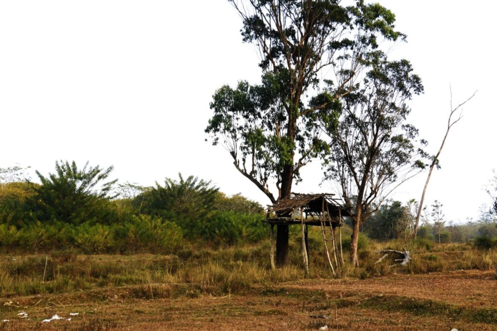 Muthanga land where tribal land protest was held