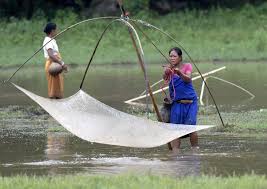Tribal women catch fish in a waterhole in Gobha village in Morigaon district of Assam