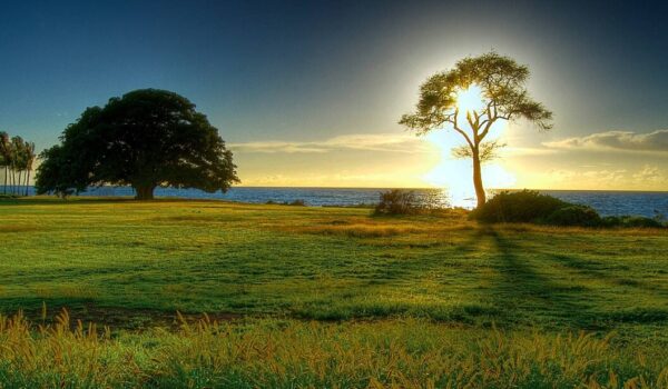 സ്വശരീരത്തിലൂടെ സ്വയംഭരണത്തിലേക്ക്