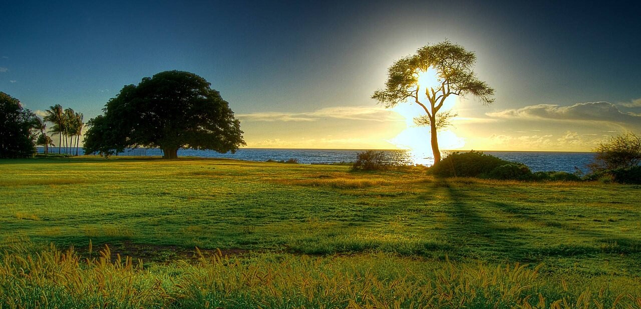 സ്വശരീരത്തിലൂടെ സ്വയംഭരണത്തിലേക്ക്