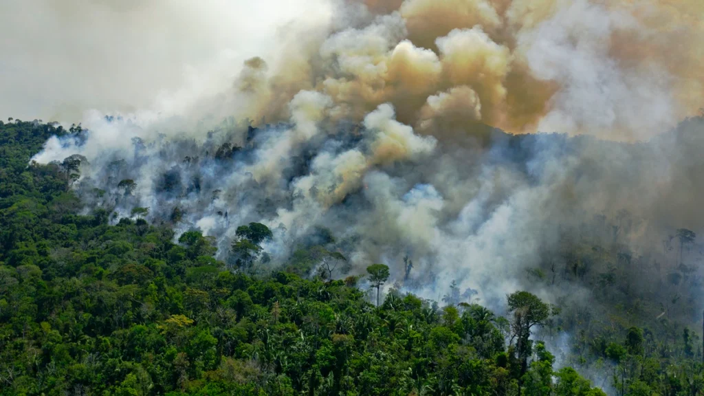 Aerial view of a burning area of Amazon rainforest reserve