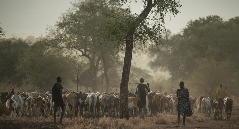 Environmental woes and the role of Indigenous knowledges