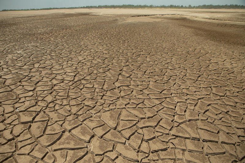 A dry riverbed during the 2024 Amazon’s extreme drought. 