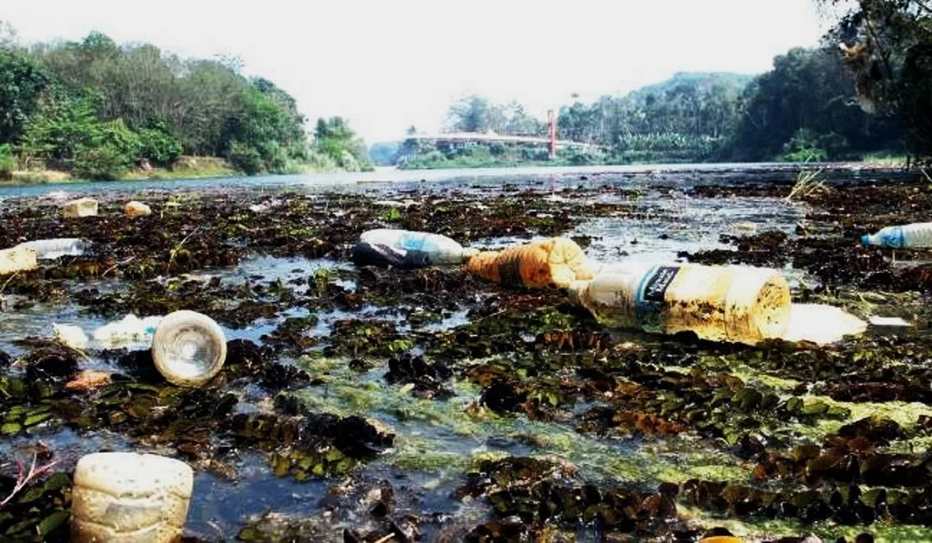 Plastic bottles floating in Piravom puzha, in Ernakulam district of Kerala