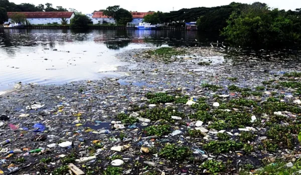 വേണം പഞ്ചായത്ത് രാജ് ഭരണ സ്ഥാപനങ്ങൾക്ക് ഒരു പരിസ്ഥിതി മാനിഫെസ്റ്റോ