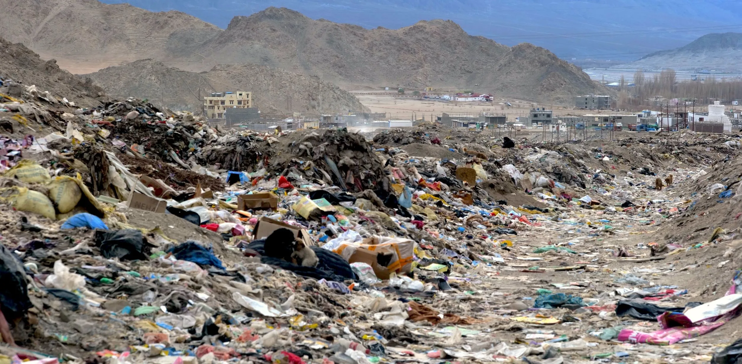 Economy of Happiness in an Age of War and Ruin