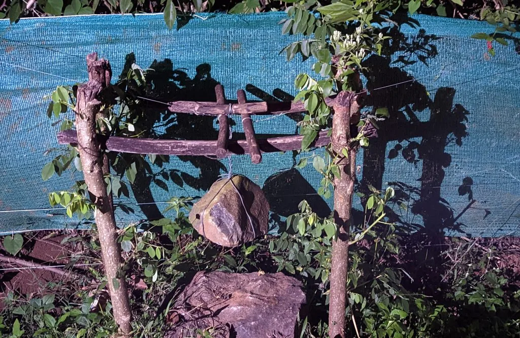 “Cracker and Stone” elephant warning system in Wayanad