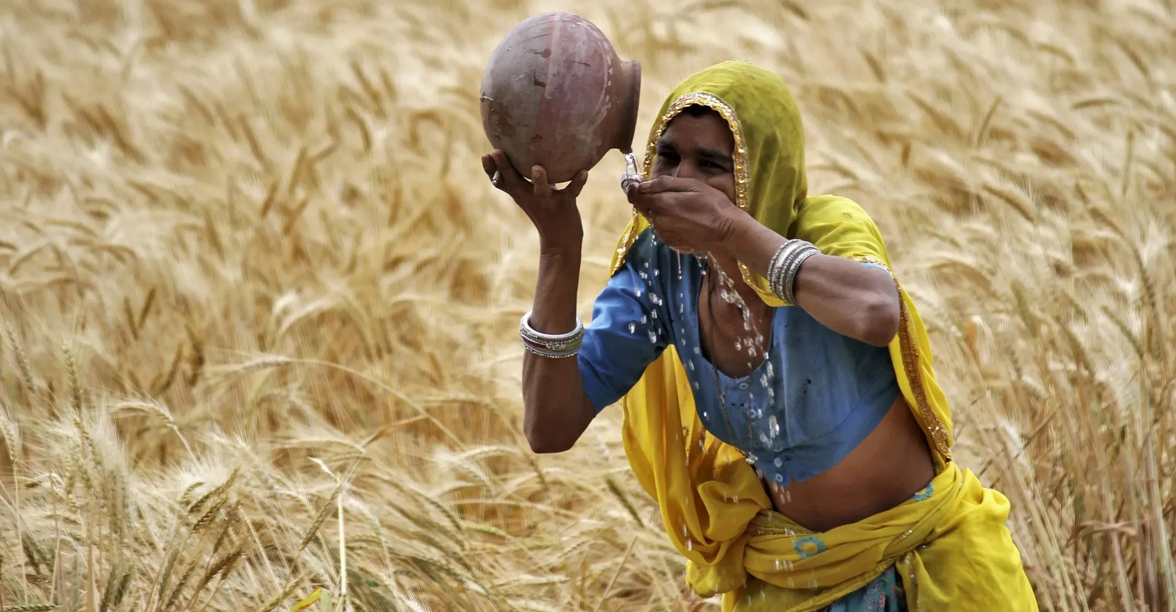 A Nation’s Shame: Prof. A.R. Vasavi on Farmer Suicides and Policy Failure