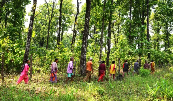 Beyond Resistance: Building the Pathways to a New Civilisation