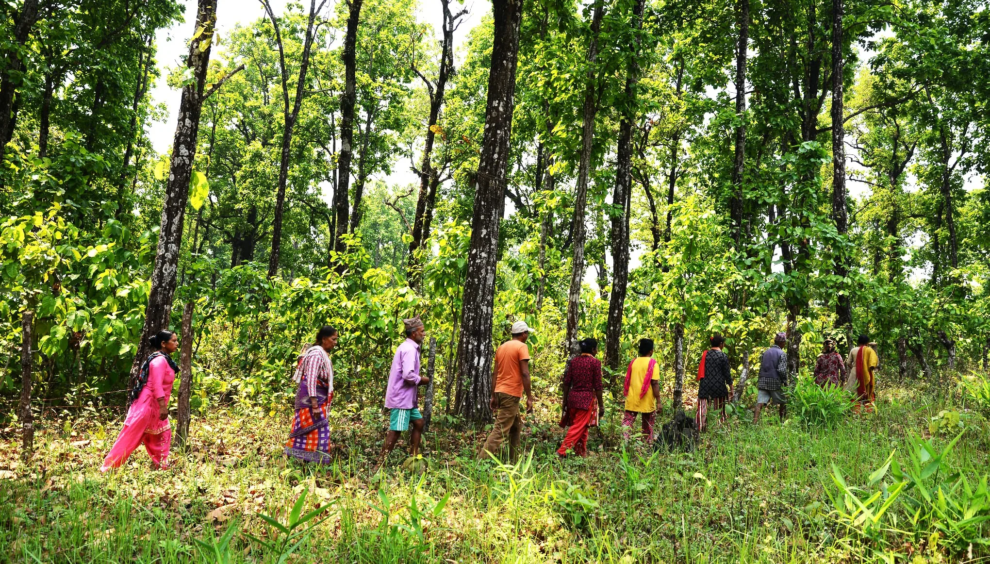 Beyond Resistance: Building the Pathways to a New Civilisation