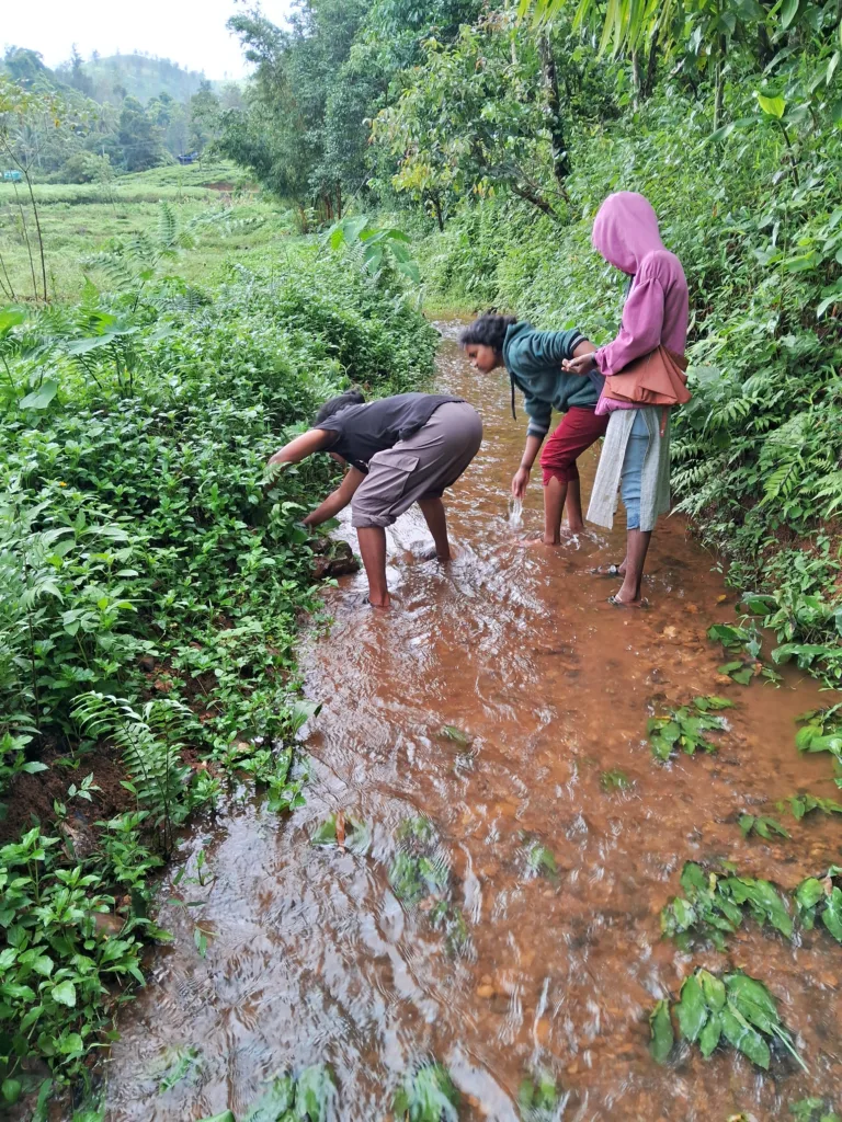 Wayanad tribal life and culture