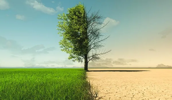 Mirage Economy – Part 2: When the Planet Crosses Its Limits