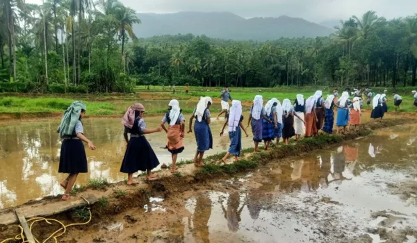 Kerala Collective for Asset Revitalisation, Employment and Stewardship (K-CARES)