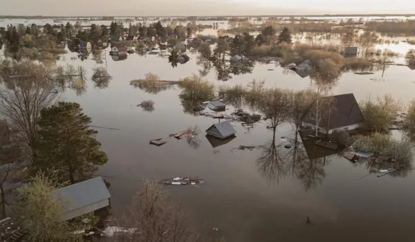 Ecological Catastrophes: Climate Crisis and the Cost of Inequality