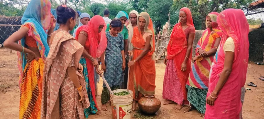Soil, Sheep and Self-Reliance: The Story of Kalawati Ninama